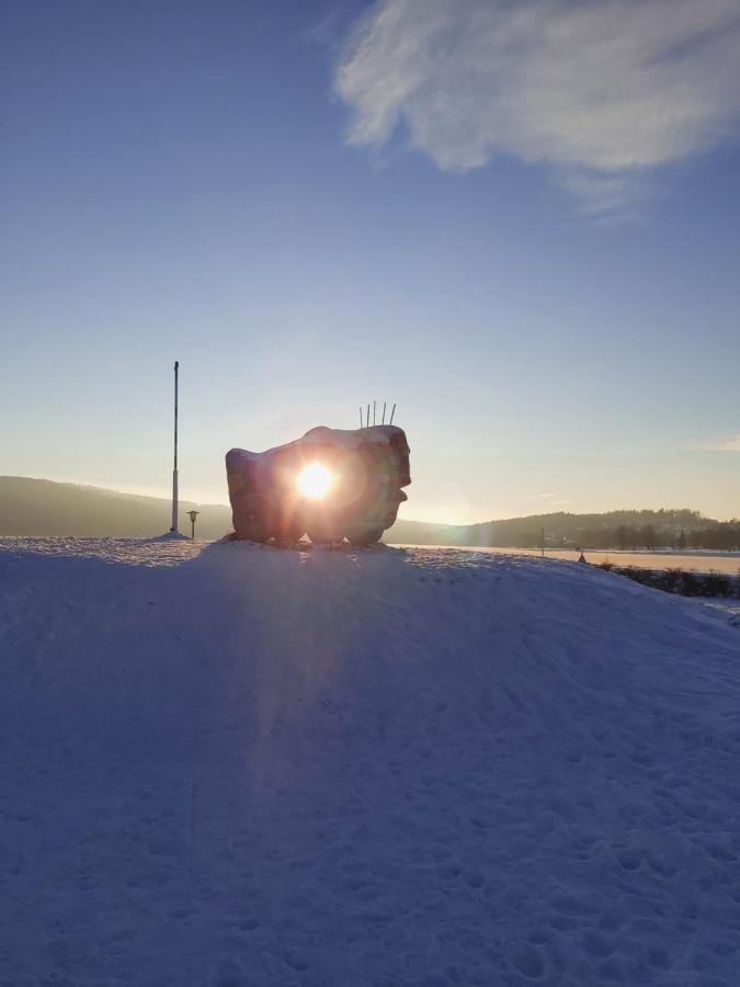 Apartman Jafi Lipno Nad Vltavou Buitenkant foto