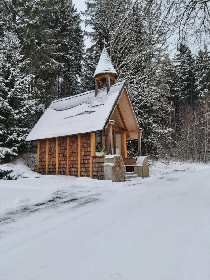 Apartman Jafi Lipno Nad Vltavou Buitenkant foto